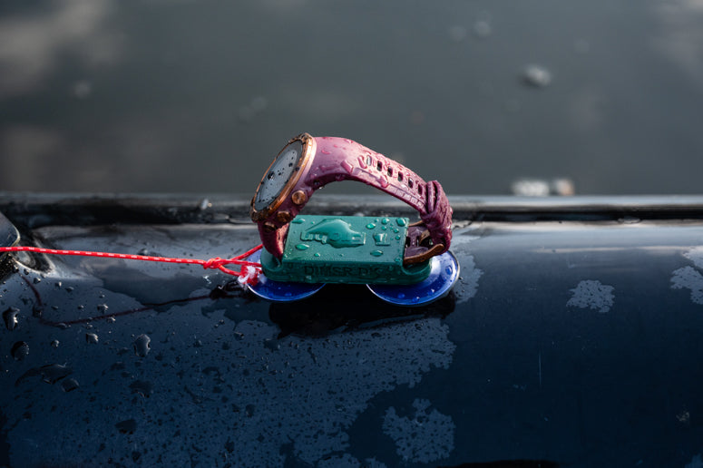 WMRELarger (1 of 1).JPG__PID:bd51895d-2a30-4431-b5ac-be348617d952